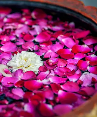 Yoga & Ayurvedamassage